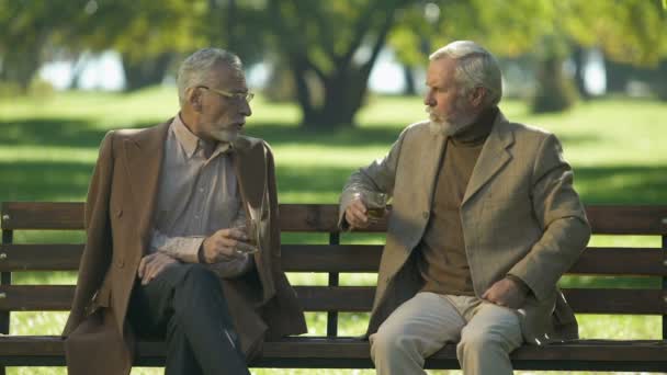 Två Upprörd Senior Herrar Dricka Whisky Bänken Parken Olycklig Minnen — Stockvideo