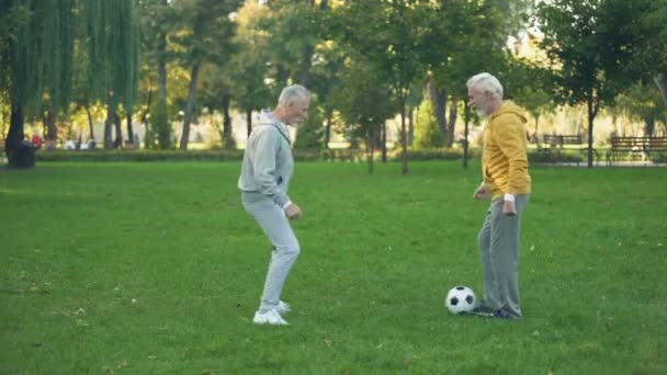 Desportistas Seniores Jogando Futebol Fim Semana Parque Lazer Ativo Amizade — Vídeo de Stock