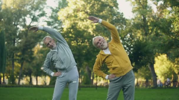 Dos Pensionistas Mayores Haciendo Ejercicios Matutinos Parque Actividad Física Bienestar — Vídeos de Stock