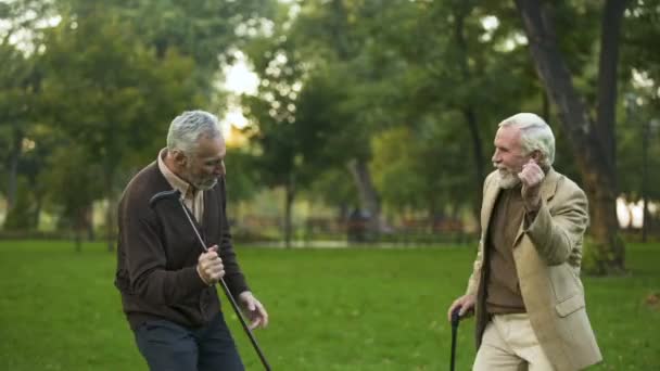 Male Pensioners Dancing Park Walking Sticks Friendship Humor Having Fun — Stock Video