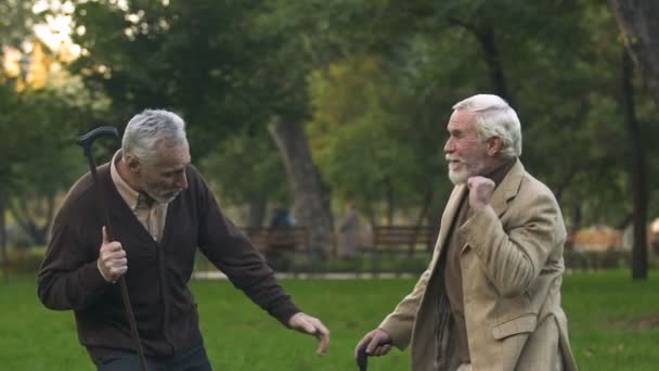 Joyful Retired Men Dancing Park Walking Sticks Having Fun Together — Stock Video