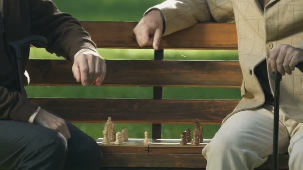 Two Pensioners Playing Chess Park Bench Game Strategy Brain