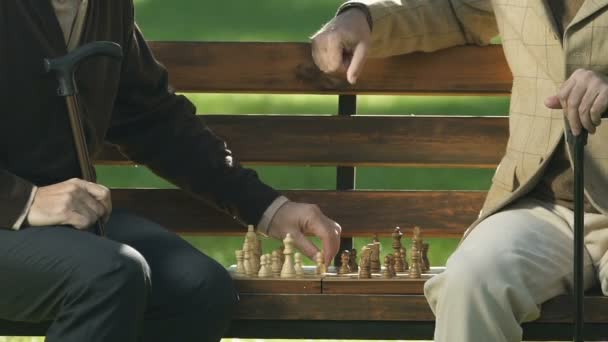 一緒に 楽しんで 男性友人を引退したベンチ チェスのチェックメイトします — ストック動画