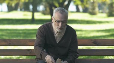 Tür dedesi güvercinler için ekmek atma Besleme Birds Park, emeklilik