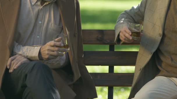 Senioren Freunde Klappern Und Trinken Whisky Sitzen Park Wochenende Auf — Stockvideo