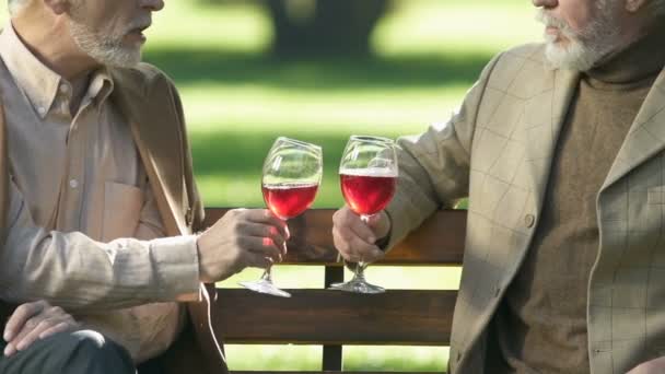 Caballeros Mayores Bebiendo Vino Disfrutando Del Sabor Bebida Alcohólica Relajarse — Vídeos de Stock