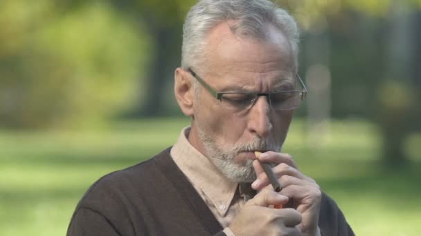 Homem Barba Cinzenta Inalando Fumaça Charuto Sentado Parque Desfrutando Sabor — Vídeo de Stock