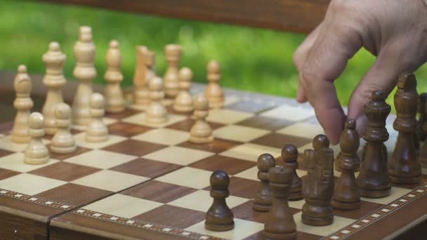 Двое Мужчин Играют Шахматы Скамейке Запасных Парке Обдумывают Стратегию Общие — стоковое видео
