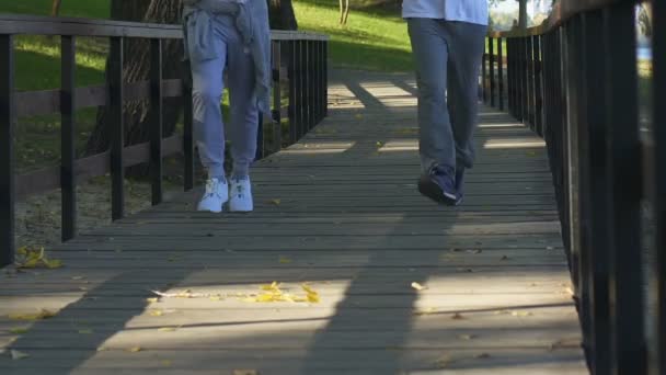 Два Друга Мужчины Бегают Деревянному Мосту Здоровый Образ Жизни Кардиотренировки — стоковое видео
