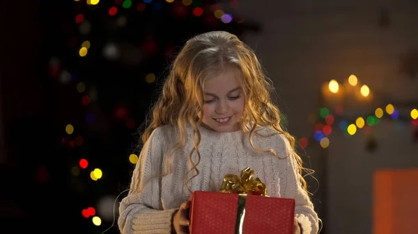 Маленька Блондинка Тримає Подарунок Під Ялинкою Чарівну Зимову Атмосферу — стокове фото
