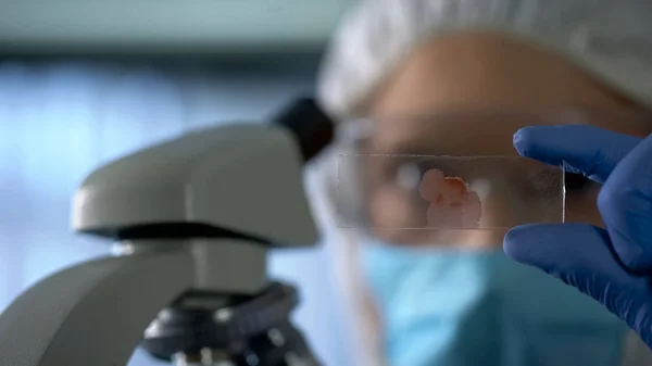 Assistente Laboratório Olhando Para Lâmina Microscópio Com Sangue Pesquisa Genética — Fotografia de Stock