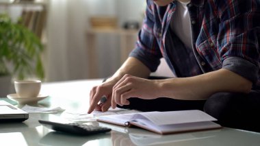 Bill, hesaplama gelir ve giderleri, bütçe tutan adam Satınalmalar, kontrol