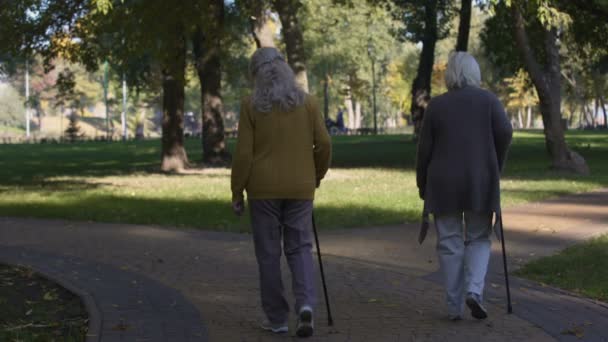 Két Öreg Hölgy Élvezik Séta Parkban Idősek Otthonában Idősek Szabadidő — Stock videók