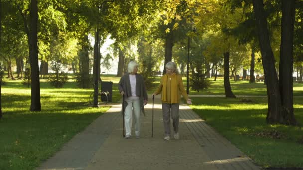 Dos Ancianas Sonrientes Hablando Caminando Parque Asilo Para Ancianos Ocio — Vídeos de Stock