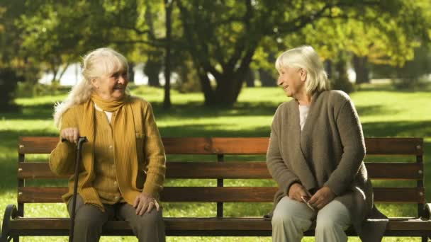 Velha Senhora Solitária Falta Seu Bom Amigo Sentado Parque Pensionista — Vídeo de Stock