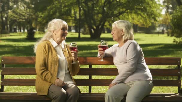 Duas Velhotas Bebendo Vinho Conversando Banco Parque Anos Dourados Felizes — Vídeo de Stock