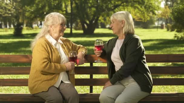 Två Farmor Vänner Dricker Vin Och Hejar Kamera Lyckliga Gyllene — Stockvideo