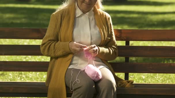 Old Grandmother Resting Bench Park Knitting Newborn Grandchild Family — Stock Video