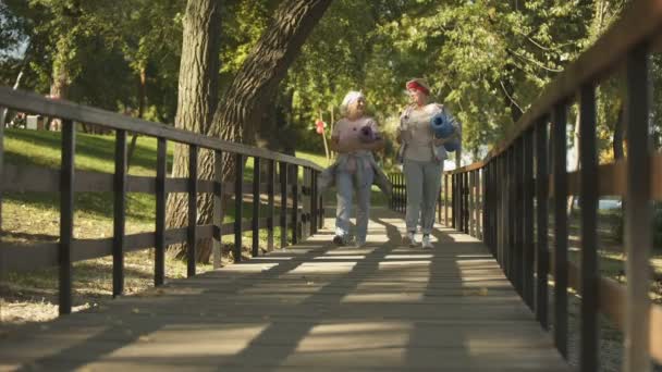 晴れた日に公園 健康的なライフ スタイルにヨガを行うには 母と娘の行く — ストック動画