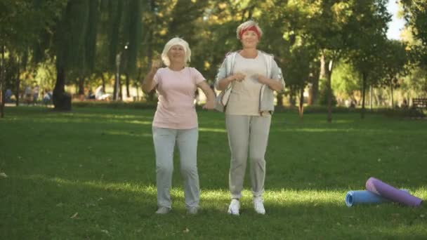 Twee Vrouwen Aan Het Warmrijden Park Vóór Hun Training Gezonde — Stockvideo