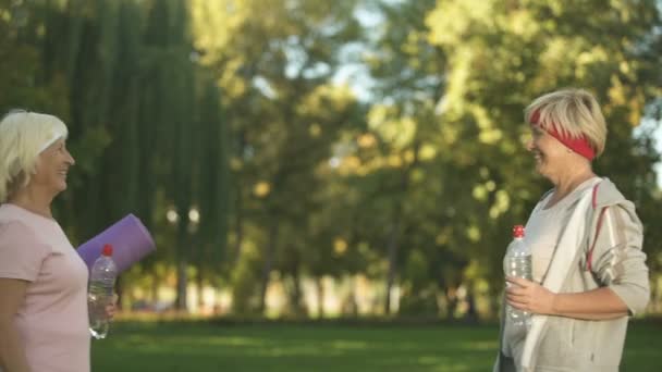 人の女性の友人公園で運動する前に会議とハイタッチを互いに与えること — ストック動画