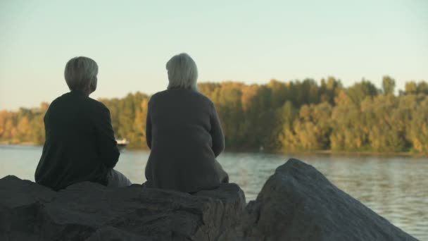 Mulheres Adultas Conversando Perto Lago Parque Desfrutando Fim Semana Livre — Vídeo de Stock