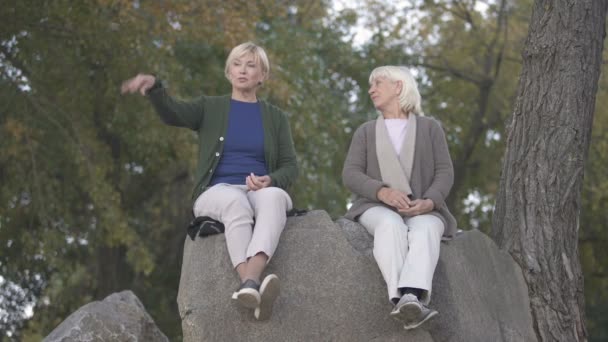母亲和中年女儿坐在石头上谈论生活 — 图库视频影像