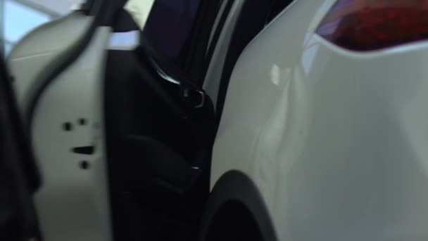 Osobisty Kierowca Czeka Kobietę Parkingu Pomaga Jej Aby Dostać Się — Wideo stockowe