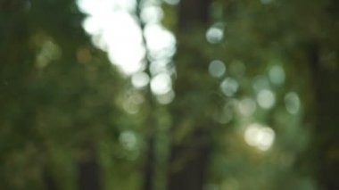 Orman, temiz havada zevk camper nefes derin, uzun yolculuk, ekoloji beklenen