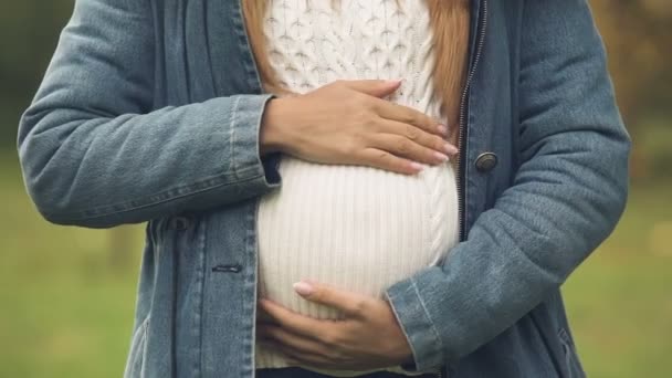 Barriga Grávida Perto Mãe Acariciando Barriga Com Cuidado Esperando Recém — Vídeo de Stock