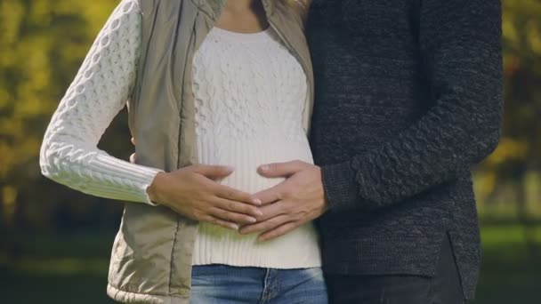 Těhotná Žena Manželem Hladil Břicho Prenatální Péče Plodnost Věda — Stock video