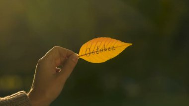 Sonbahar yaprağı, yazıları, tutan el yazılı Ekim parlak altın sonbahar sezon