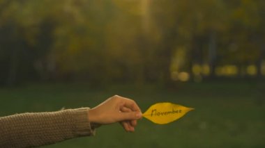Sonbahar yaprak üzerinde yazılı Kasım el holding yazıları, altın sezon sonbahar.