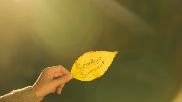 Прощання Літо Написане Осінньому Листі Рука Тримає Твори Золотий Сезон — стокове відео