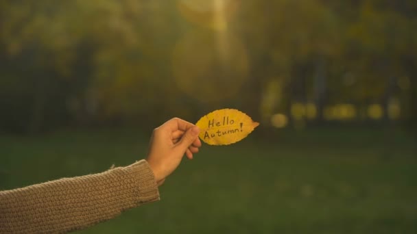 Hallo Schriftelijke Gele Herfstblad Met Hand Houden Van Geschriften Heldere — Stockvideo