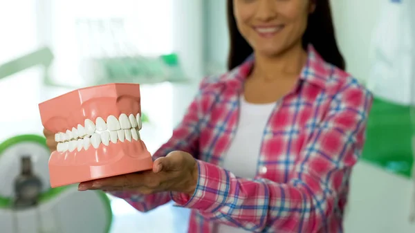 Smiling Young Female Showing Model Jaw Dental Care Concept Oral — Stock Photo, Image