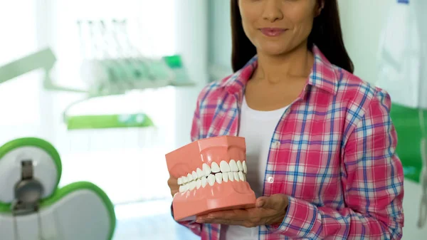 Jovem Senhora Segurando Modelo Mandíbula Conceito Cuidados Odontológicos Higiene Oral — Fotografia de Stock