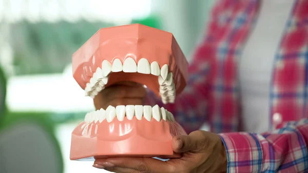 Gösterilen Modeli Çene Diş Bakımı Ağız Hijyeni Için Çocuk Eğitim — Stok fotoğraf