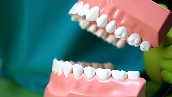 Estomatologista Mostrando Modelo Mandíbula Artificial Ensino Odontológico Odontologia — Fotografia de Stock