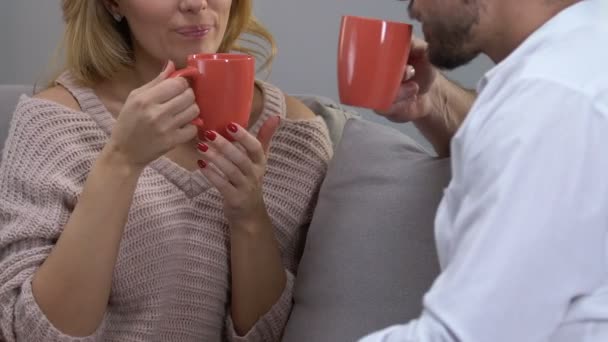 カジュアルな会話 快適な雰囲気の中 熱い飲み物を飲むカップル — ストック動画