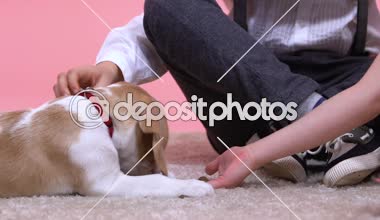 Çocuklar okşayarak ve beslenme köpek yavrusu, yeni aile evde beslenen hayvan, çocuk için Doğum günü hediyesi