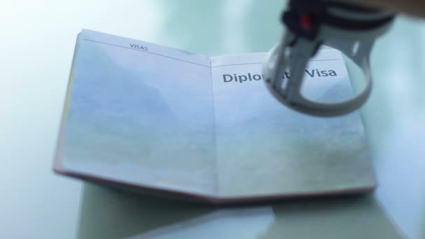 外交ビザ許可 パスポート 旅行でシールをスタンピング税関役員手 — ストック動画