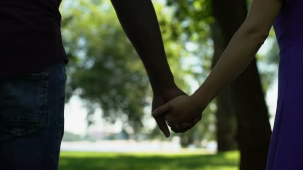 異人種間のカップルが手を繋いでいると公園 関係を歩いての背面図 — ストック動画
