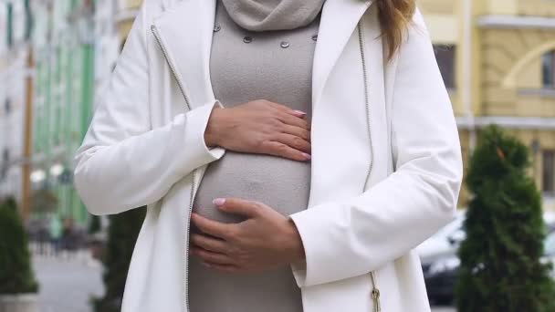 若い幸せな妊娠中の女性の腹をなでる カメラ政府の支援で笑顔 — ストック動画