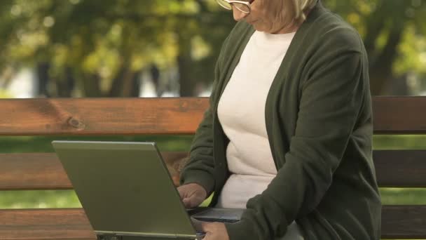 Leeftijd Vrouwelijke Typen Laptop Toetsenbord Zittend Bank Internet Zoeken App — Stockvideo