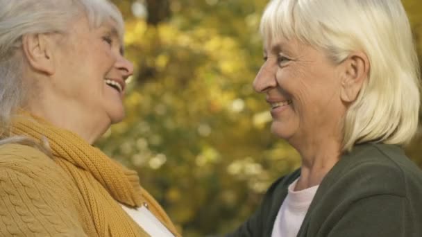 Alte Freundinnen Die Sich Draußen Umarmen Schwestern Treffen Familienanschluss Liebe — Stockvideo