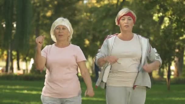 つのシニア女性外研修 健康公園でトレーニング前に のウォーミング アップ — ストック動画