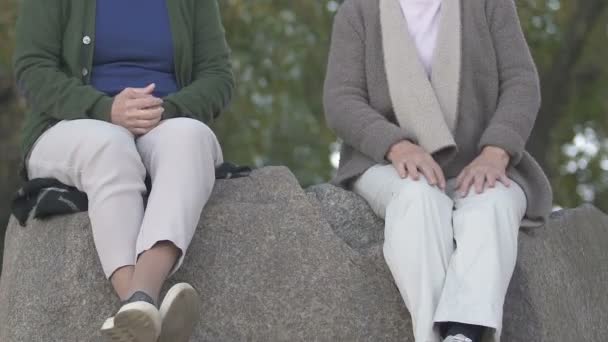Dvě Důchodkyně Hovořili Sedí Spolu Říční Kámen Přátelství — Stock video