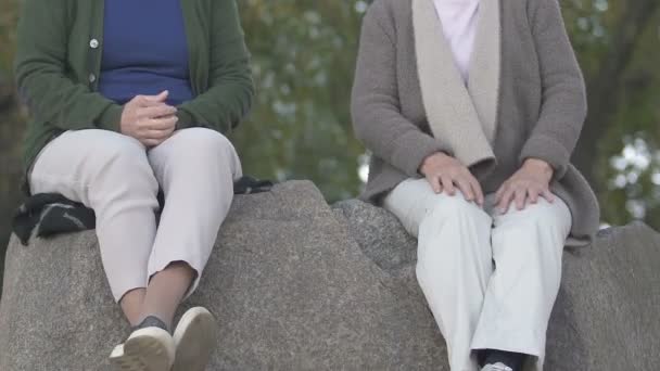 Dos Pensionistas Hablando Sentadas Juntas Piedra Del Río Amistad — Vídeos de Stock