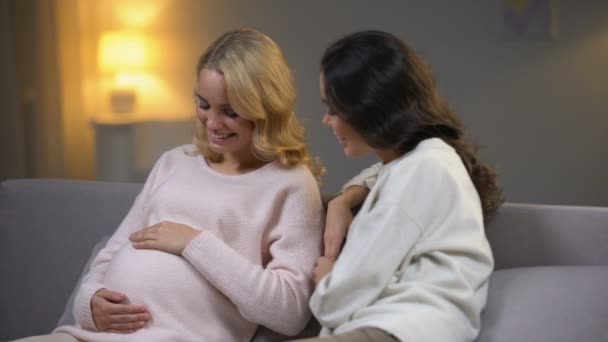 Lesbisches Paar Wartet Auf Baby Frau Berührt Bauch Ihrer Schwangeren — Stockvideo